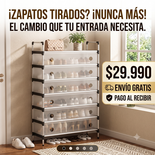 Organizador de Zapatos Moderno